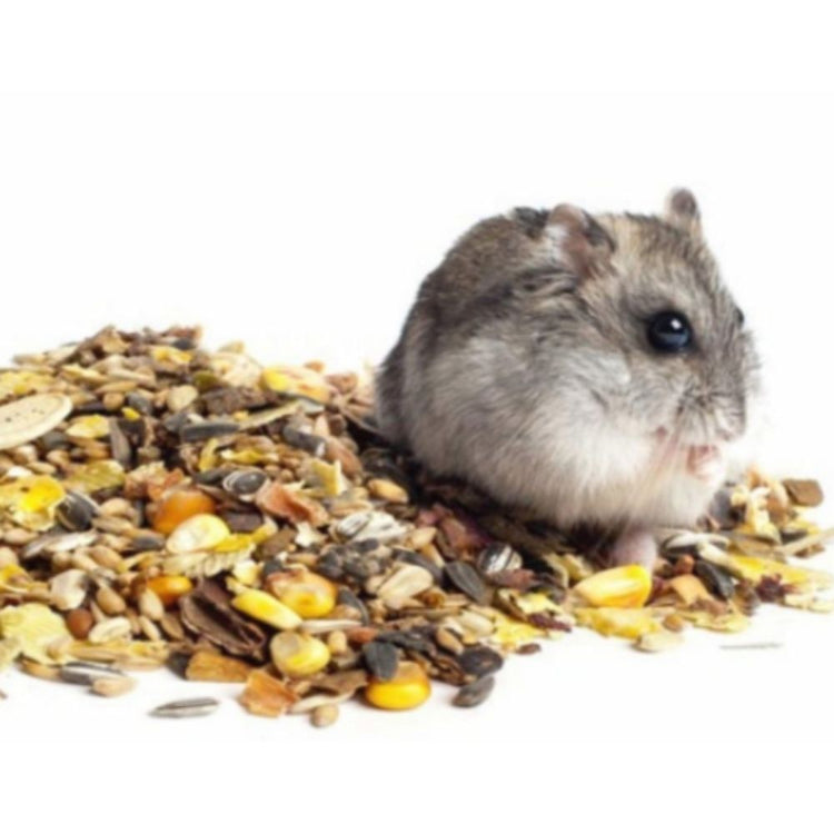 Vitapol Economic Food for Hamster