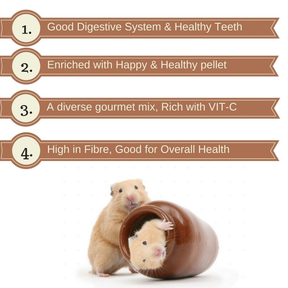 Versele Laga Crispy Muesli Hamsters And Co Food