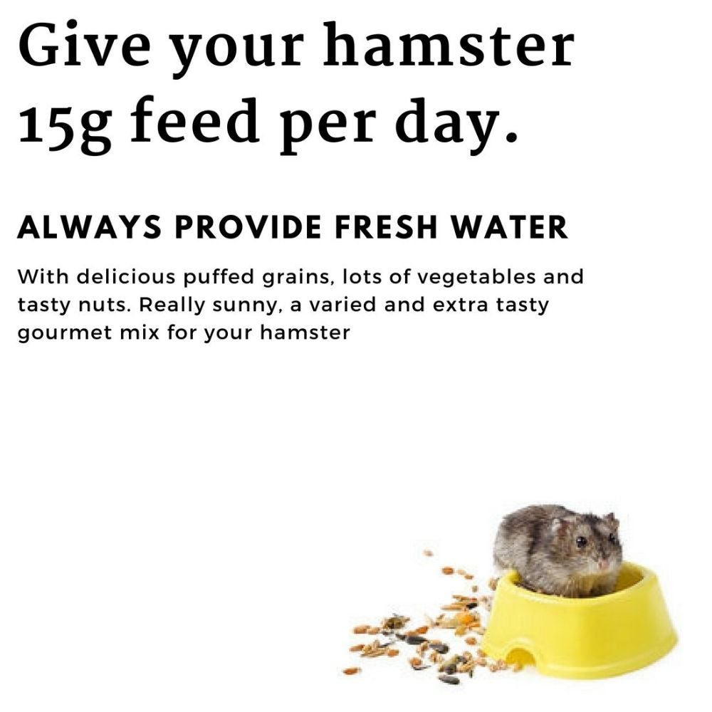 Versele Laga Crispy Muesli Hamsters And Co Food
