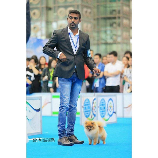 Kevinken show dogs grooming world Groomer Kerala