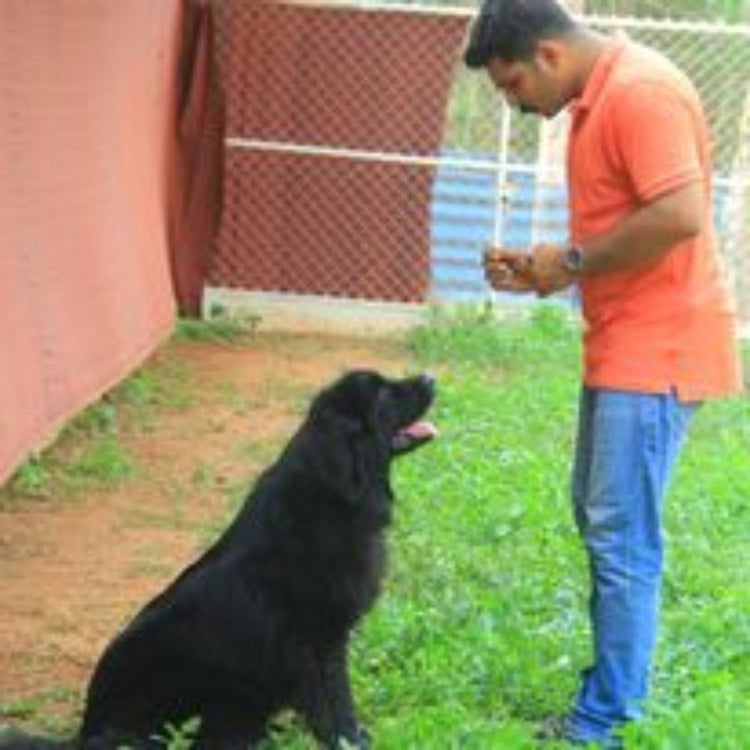 Bark N Track K9 Academy Trainer Kerala