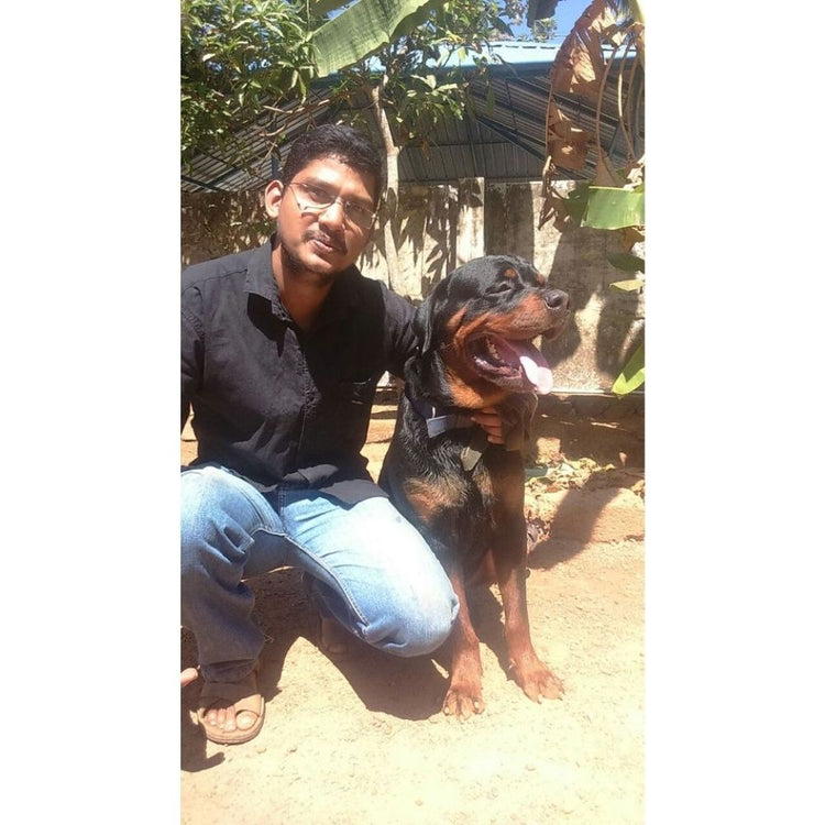 Dog Training Suraksha Trainer Kerala