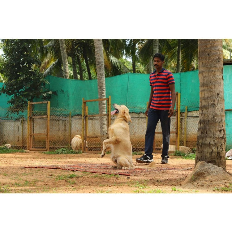 Enforce K9 Training School Trainer Kerala