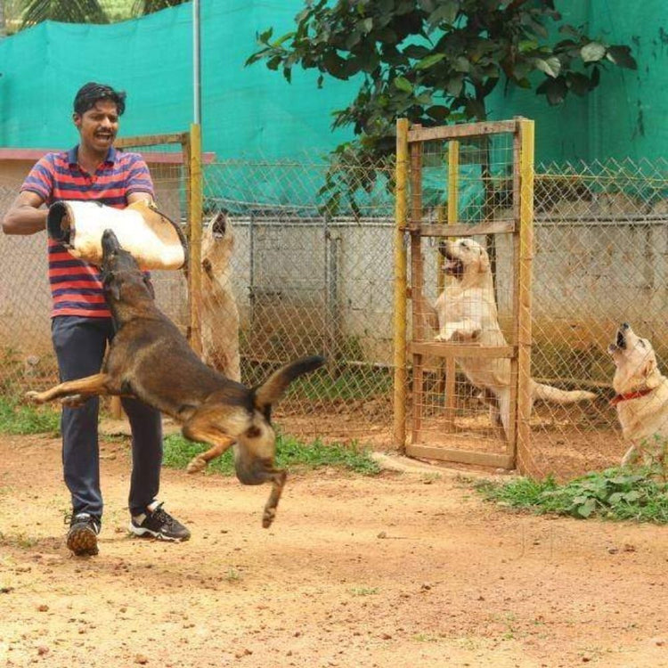 Enforce K9 Training School Trainer Kerala