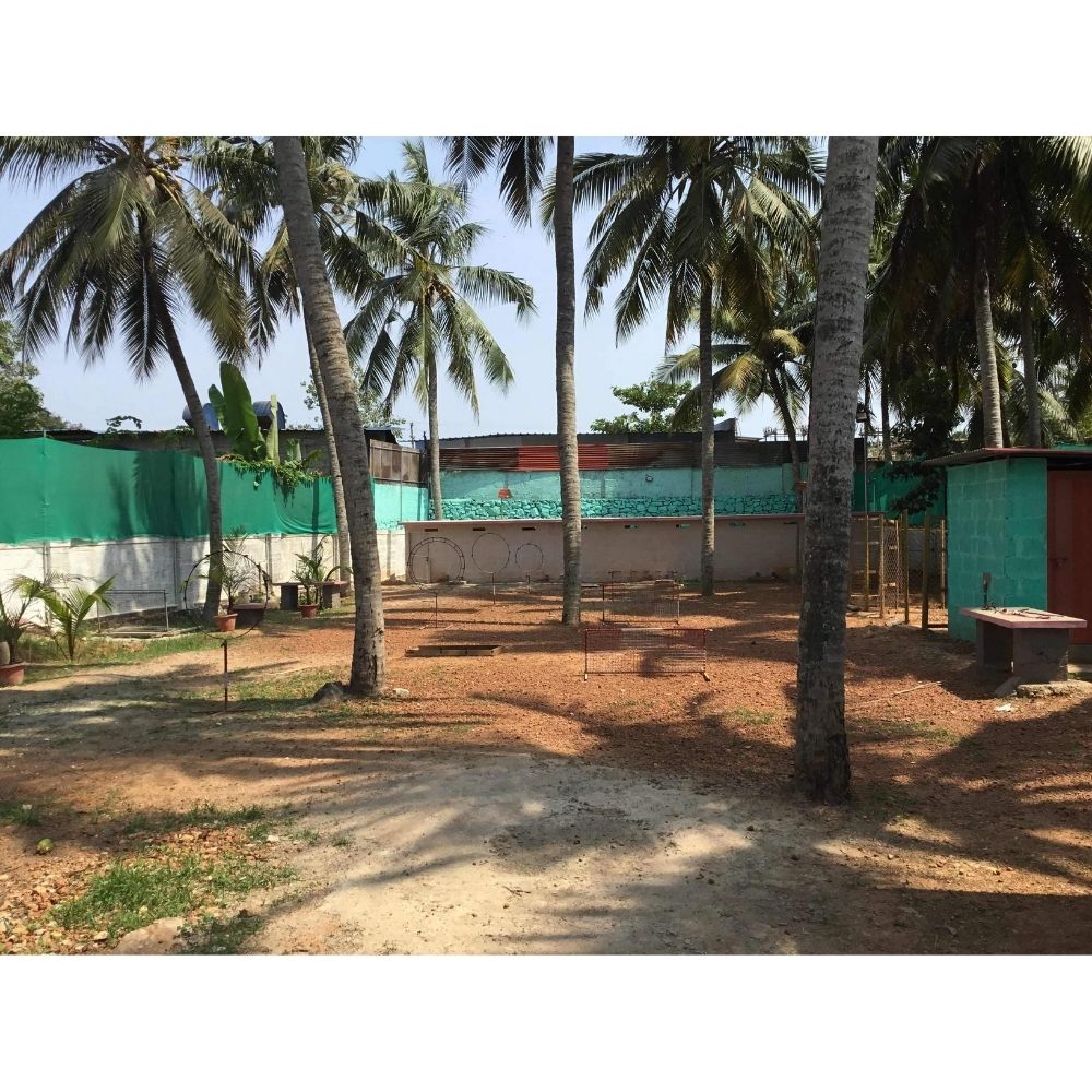 Enforce K9 Training School Trainer Kerala