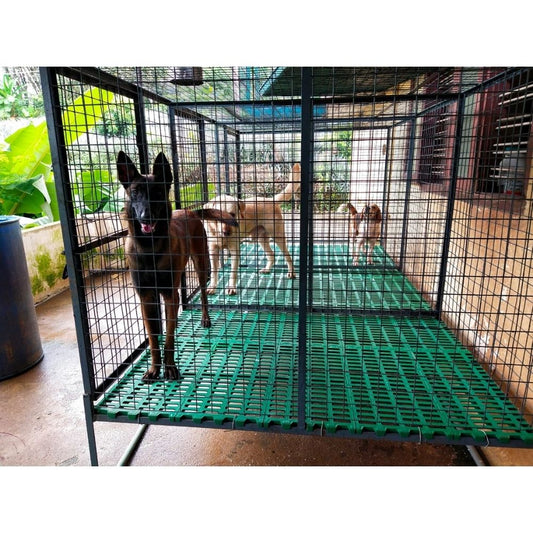 Suraksha Care Boarding Kerala