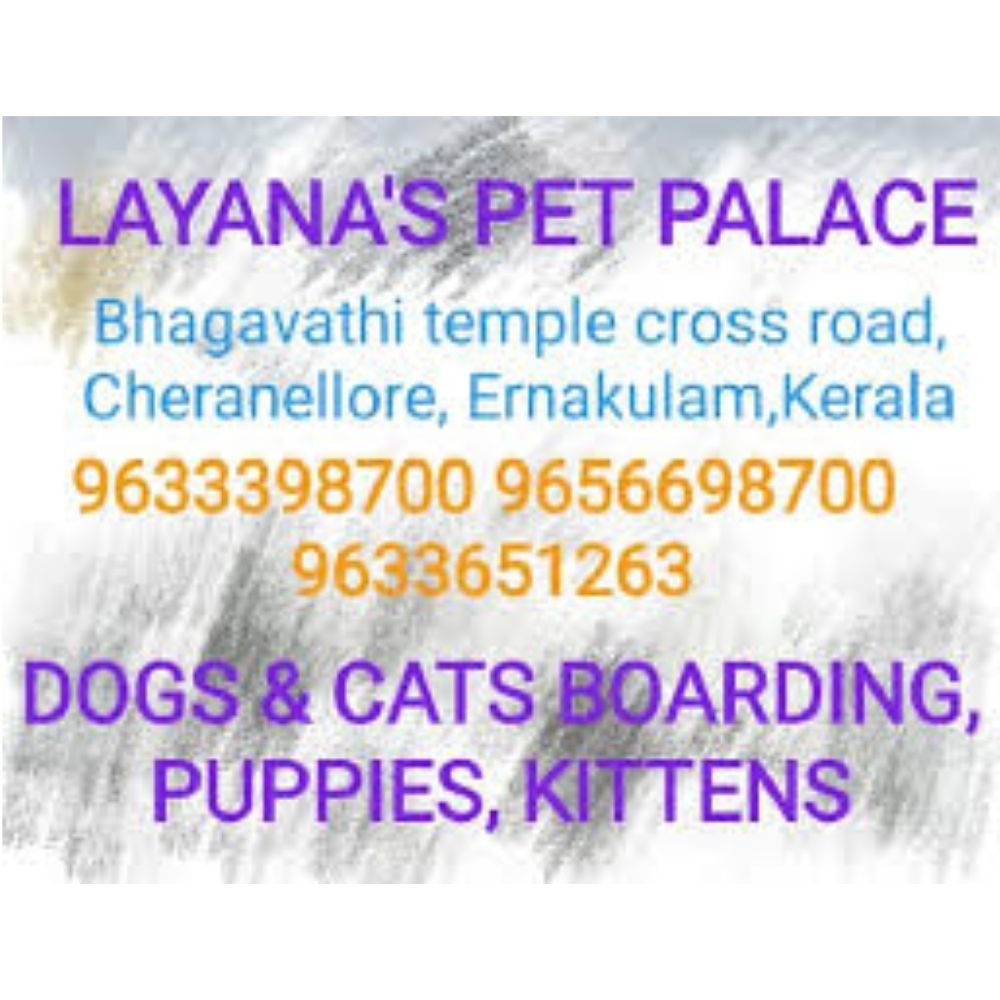 Layana's Pet Palace Boarding Kerala