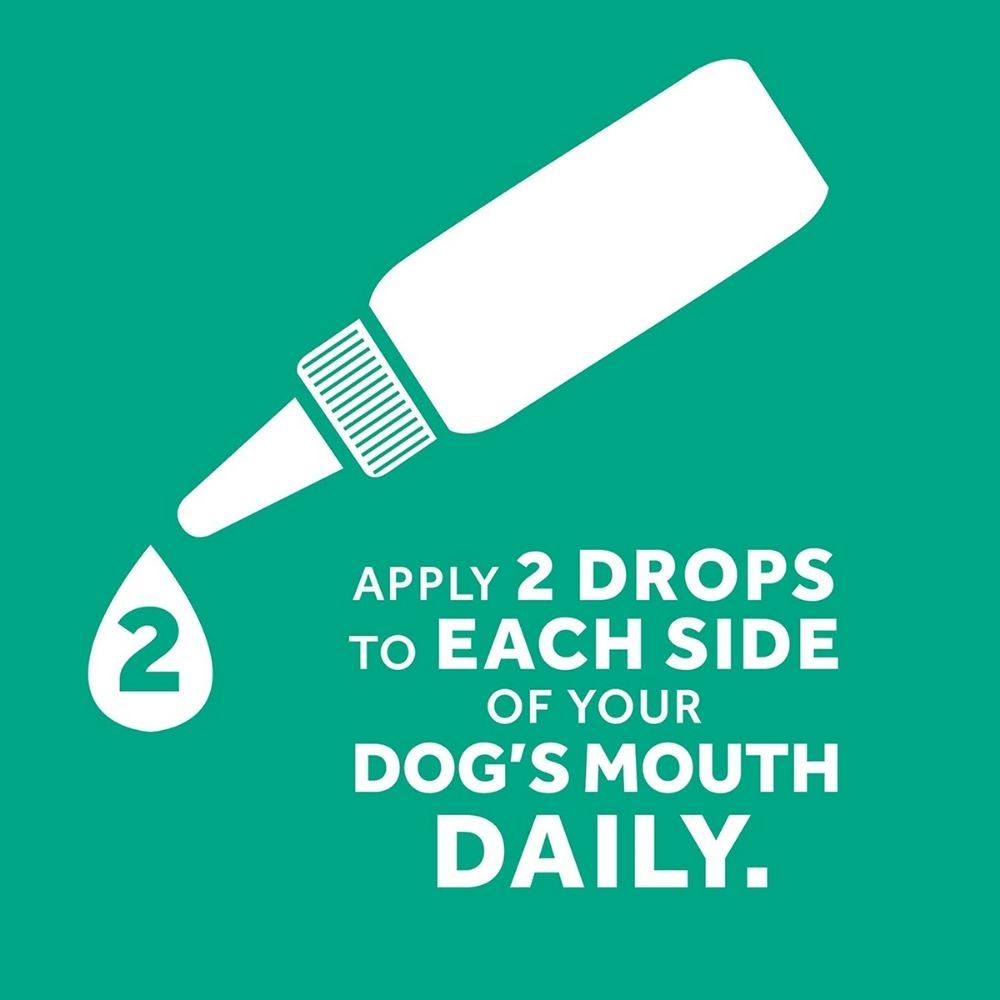 Tropiclean Fresh Breath Clean Teeth Brushing Gel For Dogs-59 ml