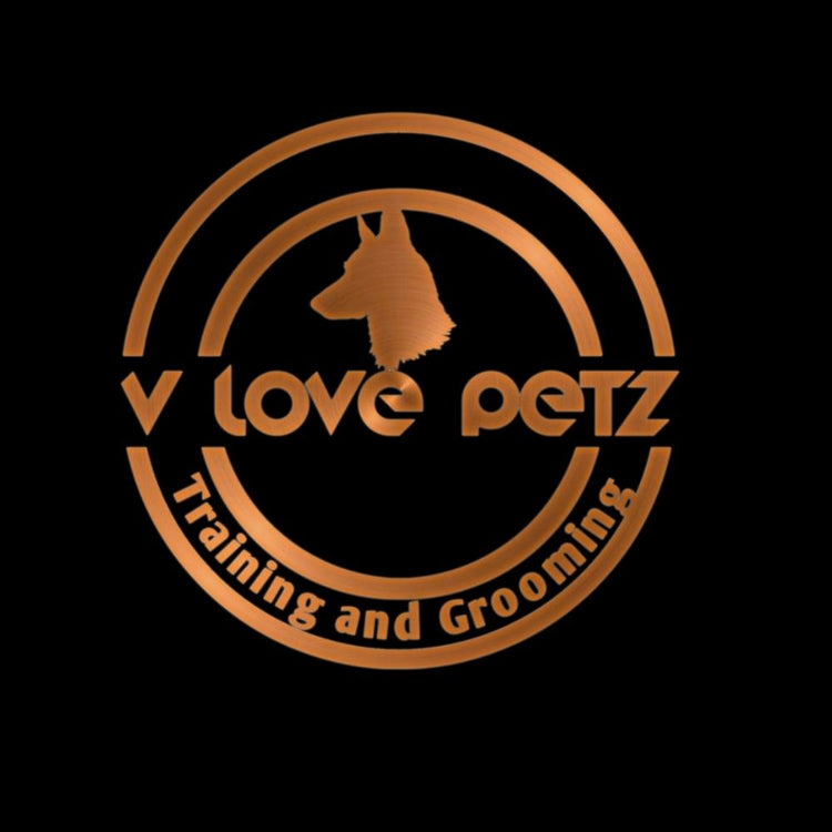 V Love Petz Groomer Hyderabad