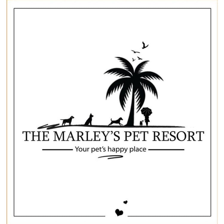 The Marley's Pet Resort & Training Boarding Hyderabad