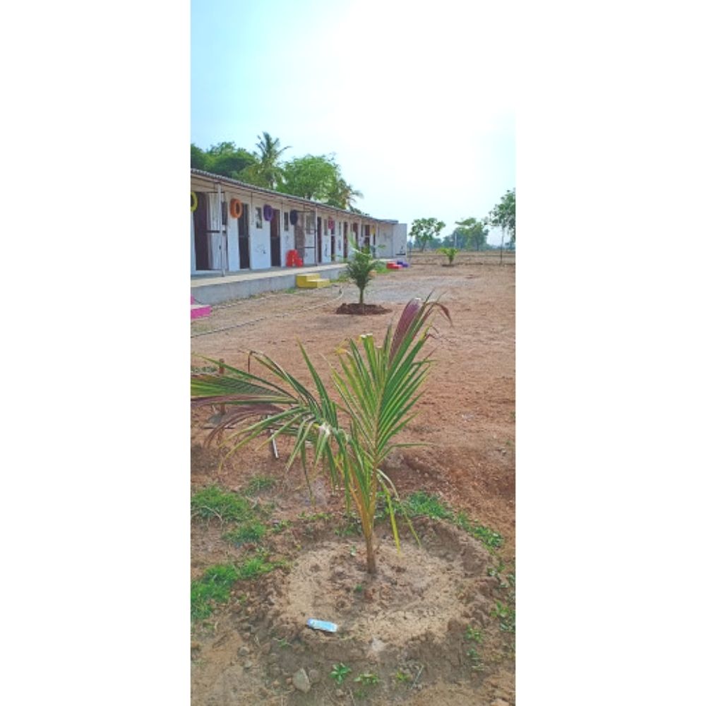 The Marley's Pet Resort & Training Boarding Hyderabad