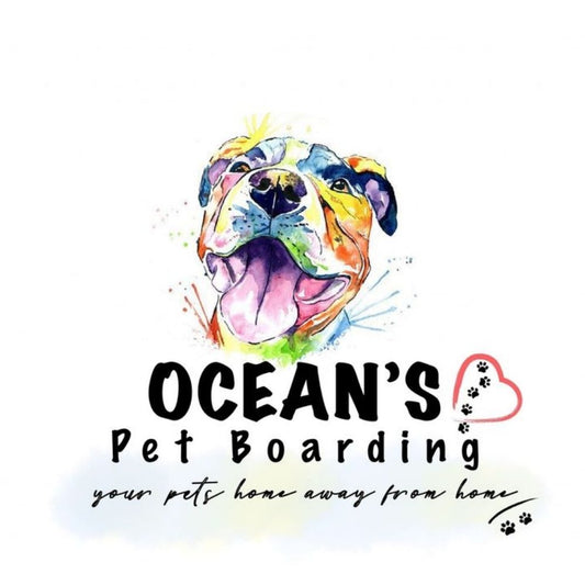 Ocean's Pet Boarding Center Boarding Hyderabad