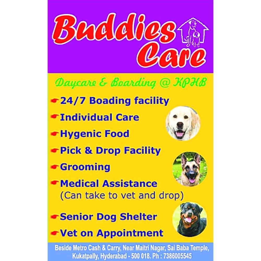 Buddies Care Pet Home Boarding Services Boarding Hyderabad