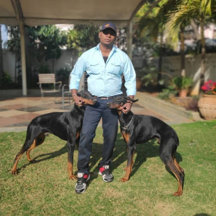 Murali Dogs Trainer Hyderabad