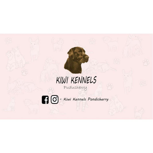 Kiwi Kennel Boarding Pondicherry