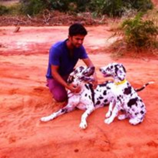 Kiwi Kennel Boarding Pondicherry