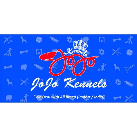 Jojo Dog Training School Trainer Hyderabad