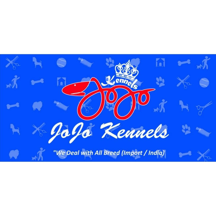 Jojo Dog Training School Trainer Hyderabad