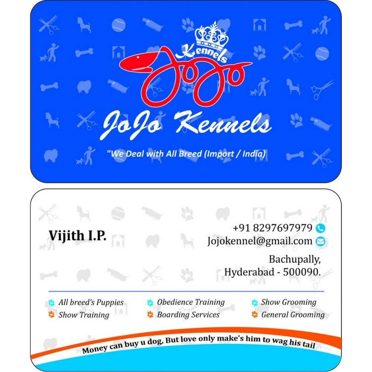 Jojo Dog Training School Trainer Hyderabad