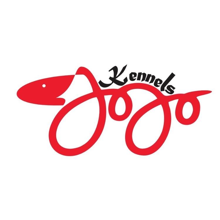 Jojo Dog Training School Trainer Hyderabad