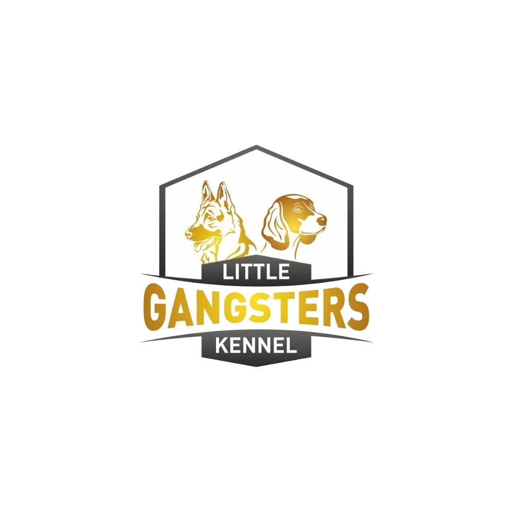 Little Gangster's Kennel Breeder Coimbatore