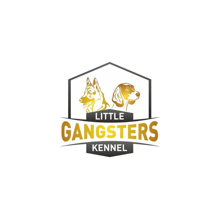 Little Gangster's Kennel Breeder Coimbatore