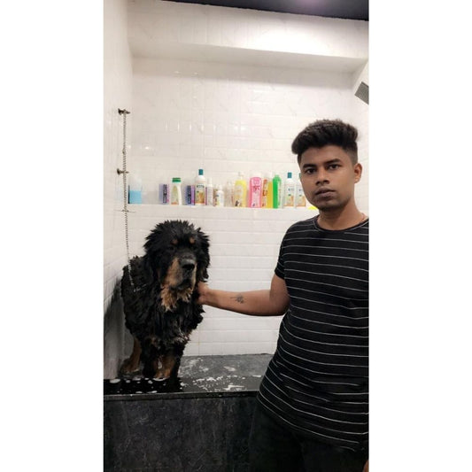 The Happy Tail Pet Grooming Groomer Mumbai