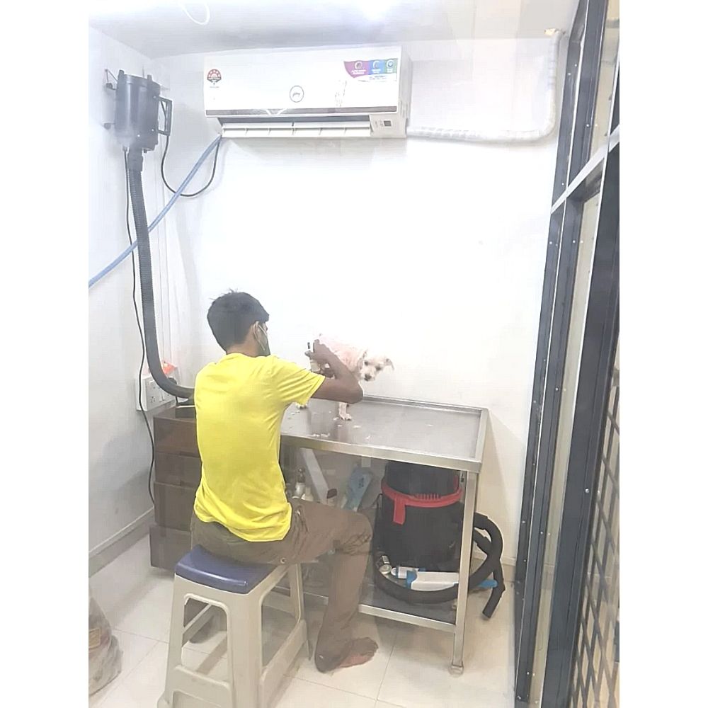 Pets In The City Groomer Mumbai