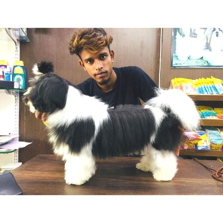 Pets In The City Groomer Mumbai