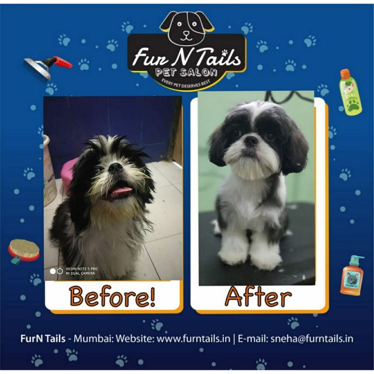 Fur n Tails Pet Salon Groomer Mumbai