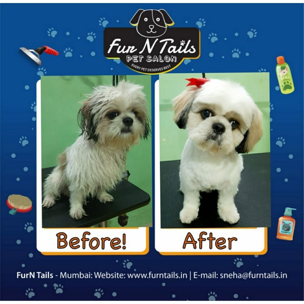 Fur n Tails Pet Salon Groomer Mumbai