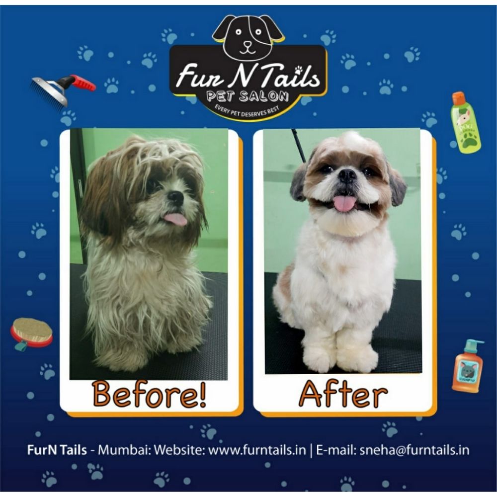 Fur n Tails Pet Salon Groomer Mumbai