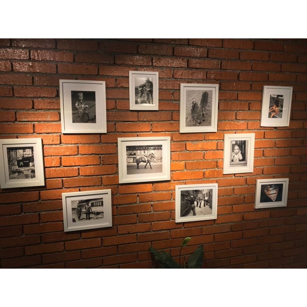 The Happy Tail Pet Cafe & Boarding, Boarding Mumbai