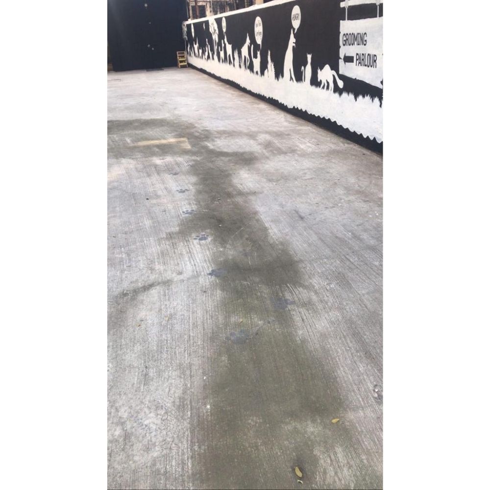 The Happy Tail Pet Cafe & Boarding, Boarding Mumbai