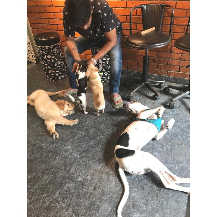 The Happy Tail Pet Cafe & Boarding, Boarding Mumbai