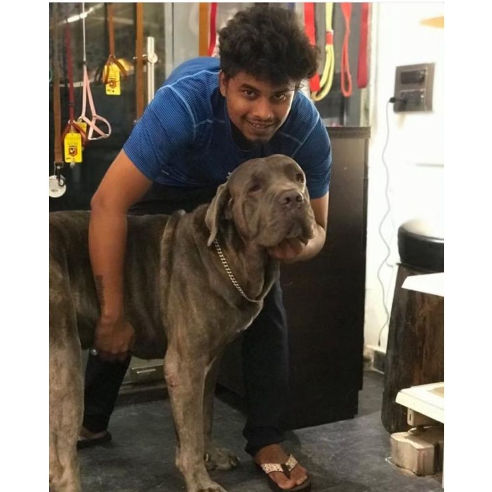 The Happy Tail Pet Cafe & Boarding, Boarding Mumbai