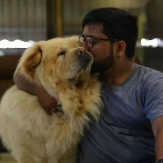 The Perfect Dog Trainer Mumbai