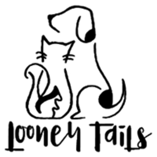 Looney Tails Trainer Mumbai