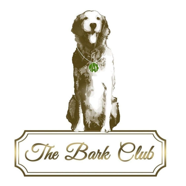 The Bark Club Boarding Mumbai