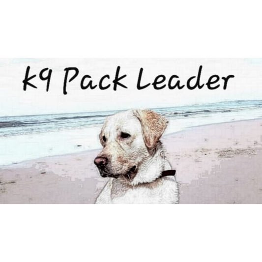 K9 Pack Leader Trainer Mumbai