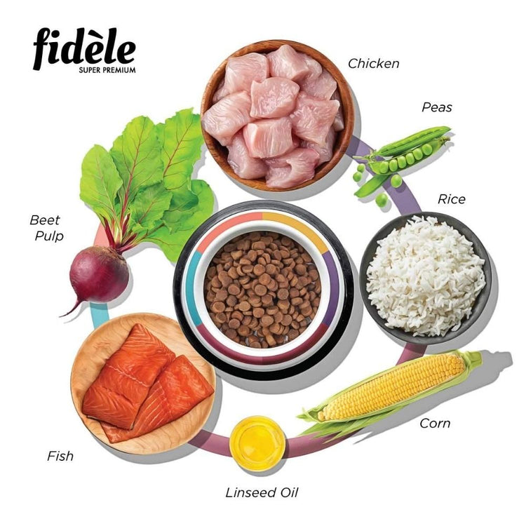 Fidele Small And Medium Breed Adult Dog Food