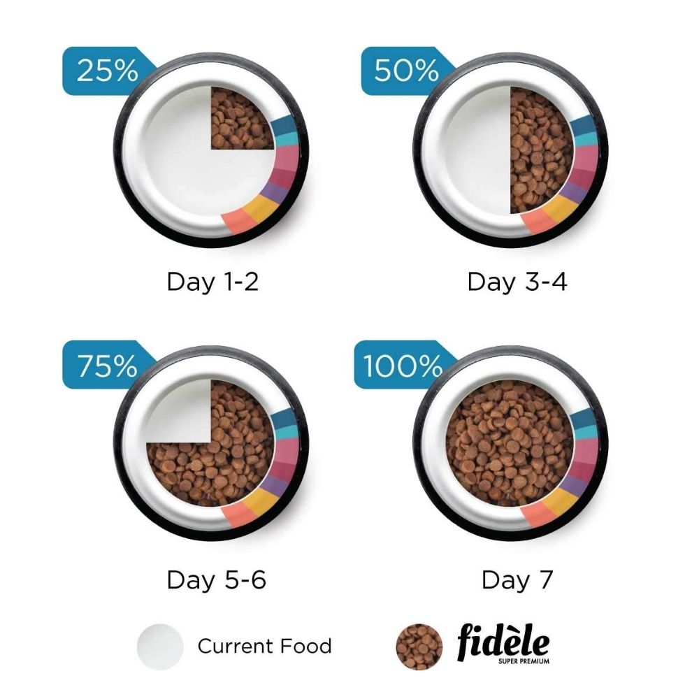 Fidele Small And Medium Breed Adult Dog Food