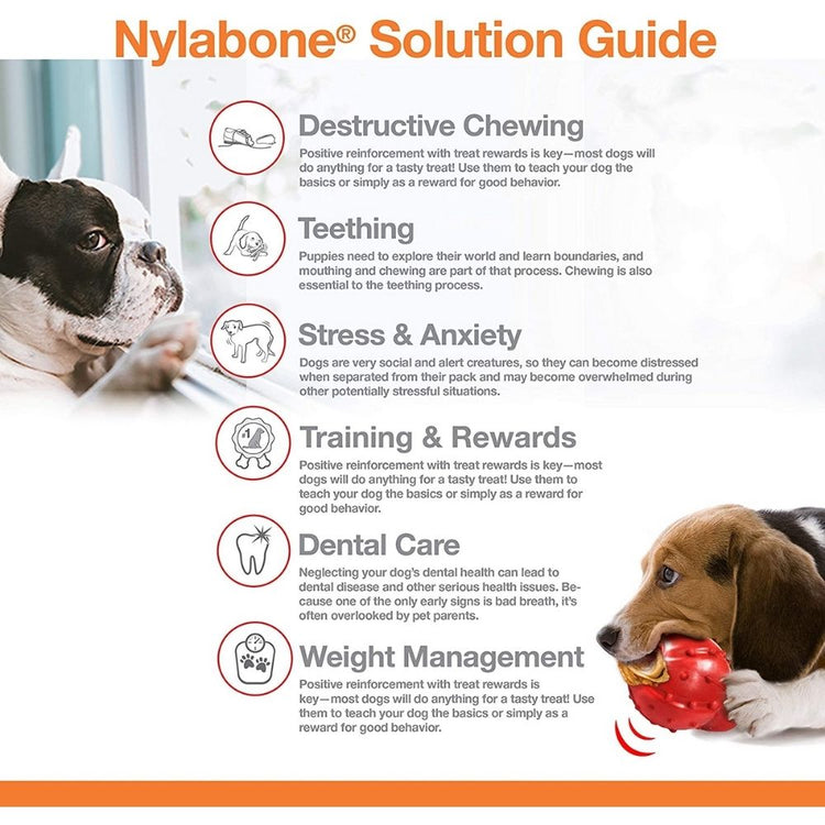Nylabone Power Chew Bone Dog Toy - Peanut Butter Wolf