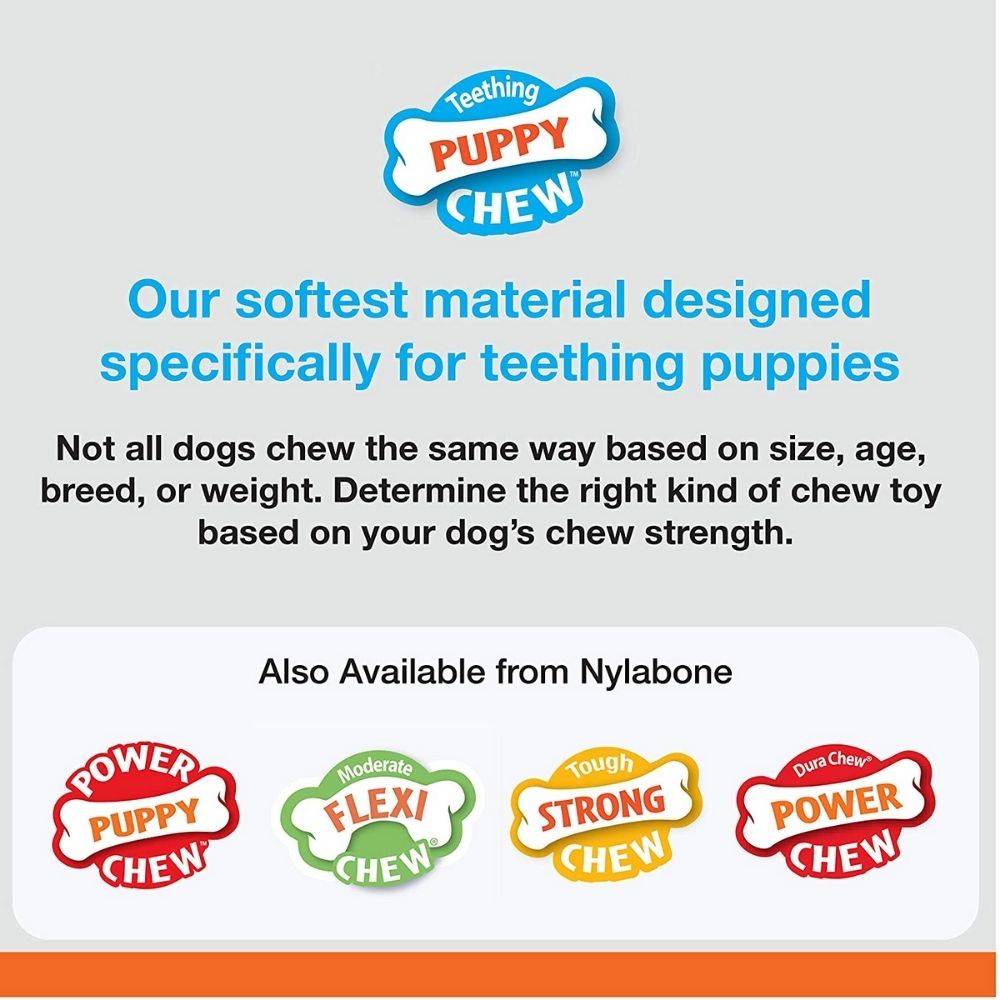 Nylabone Puppy Petite Dental Puppy Chew Toy-Blue