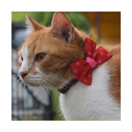 Poochles "Holiday Cutie" Bow-Tie Cat Collar