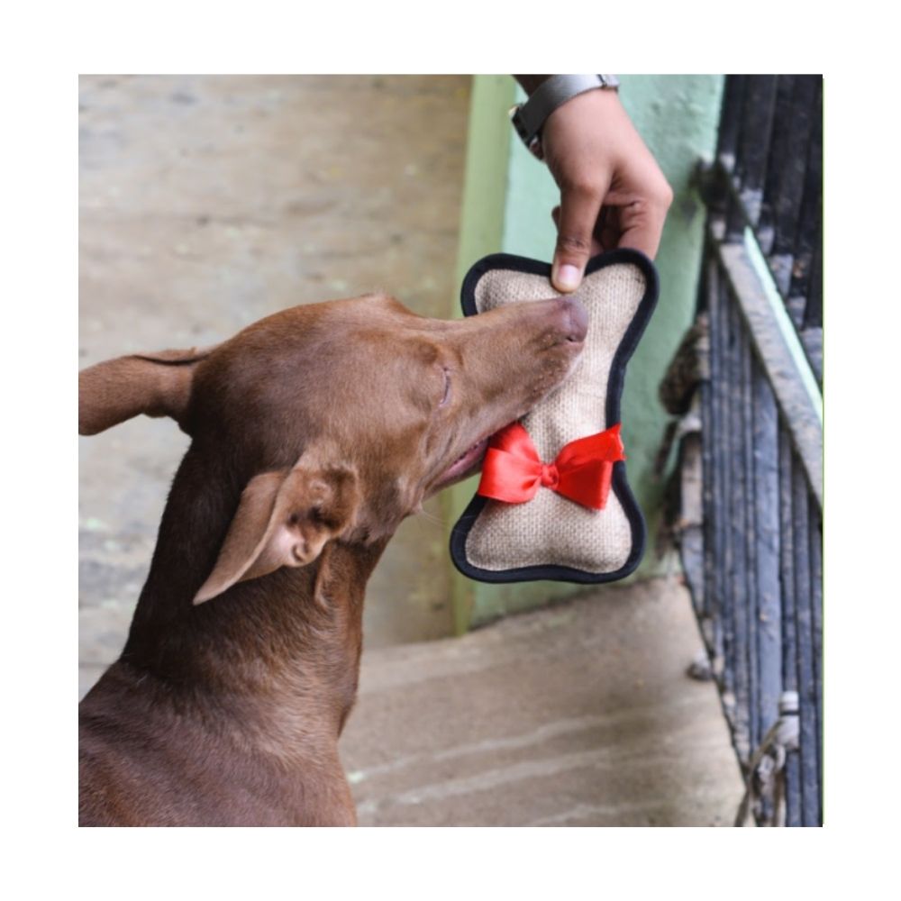 Poochles Boney Dog Jute Toy For Puppy