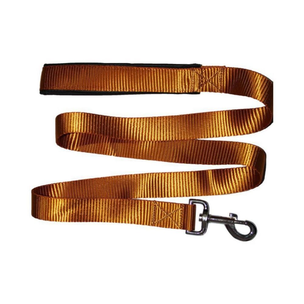 Smarty Pet Nylon Padded Dog Leash & Harness Set