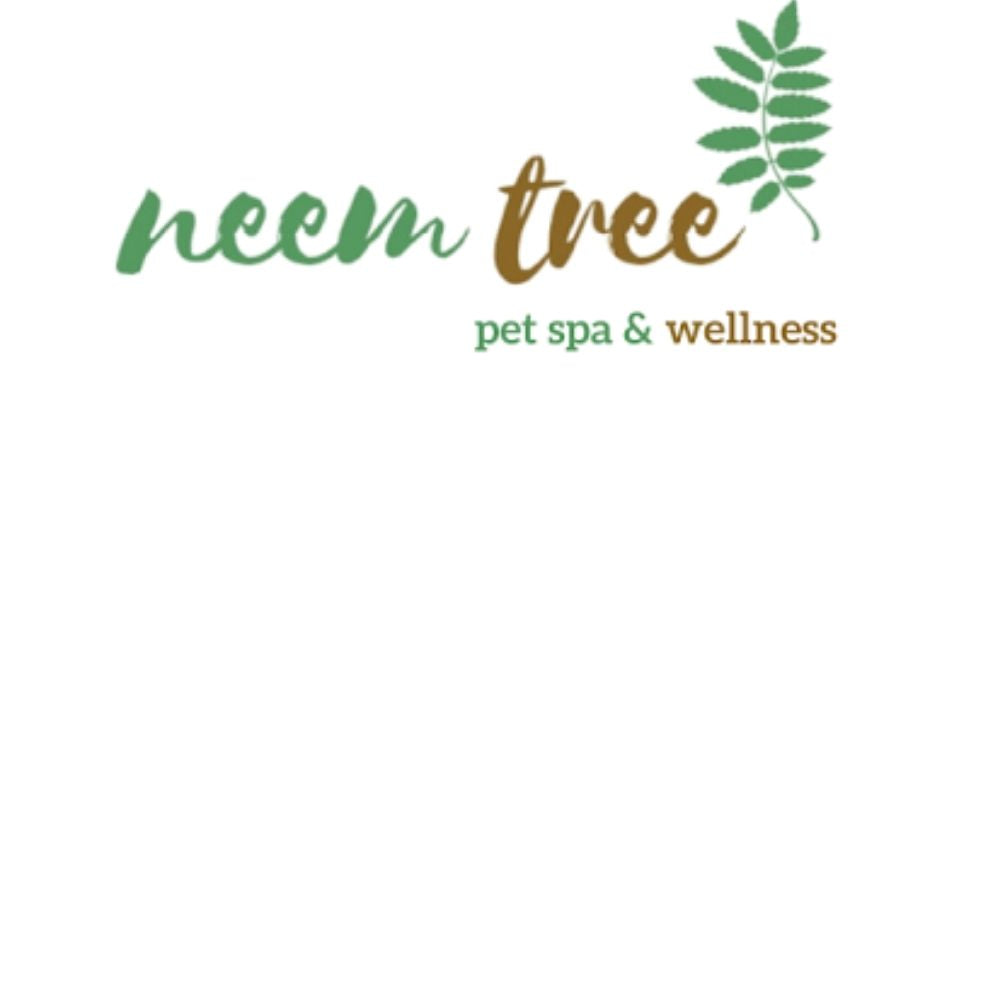 Neem Tree Pet Spa & Wellness Besant Nagar Chennai