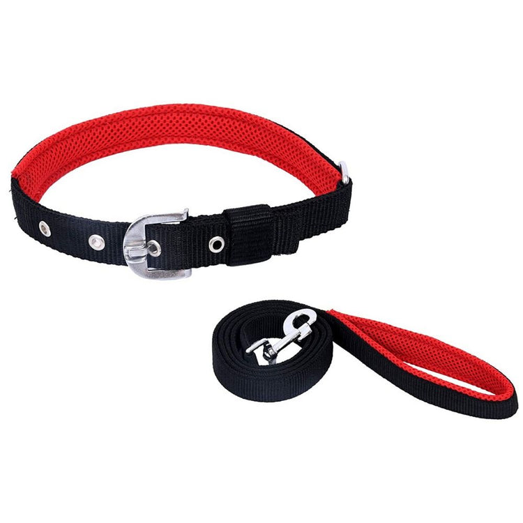 Smarty Pet Nylon Padded Dog Collar & Leash Set