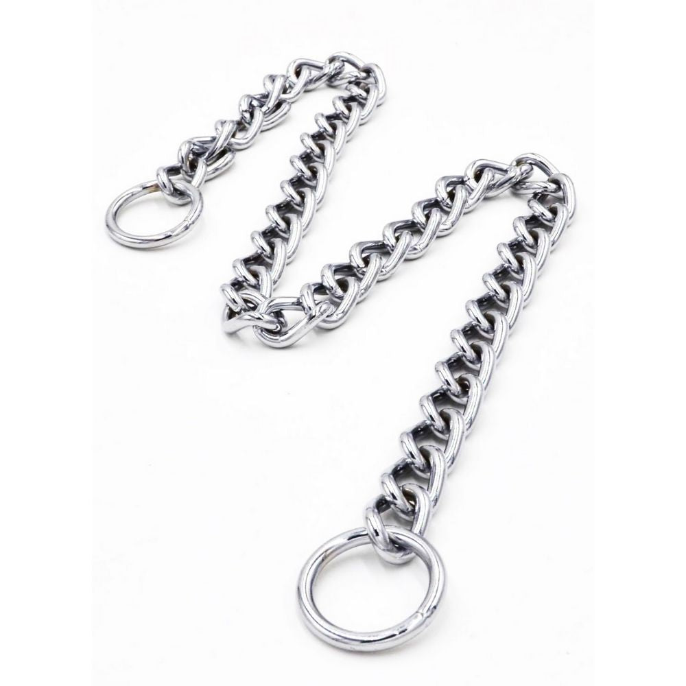 "Stylish in Steel" No Pull Dog Chain